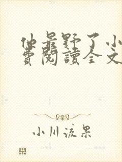 他最野了小说免费阅读全文