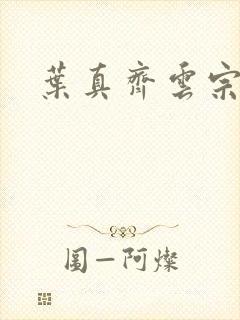 叶真齐云宗免费
