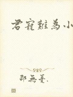 君宠难为小说