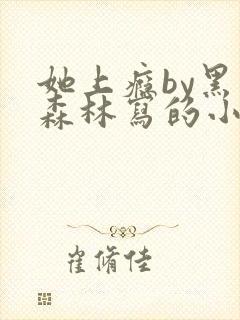 她上瘾by黑暗森林写的小说免费阅读无弹窗