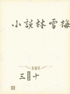 小说林雪梅