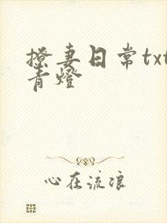 撩妻日常txt青灯封面