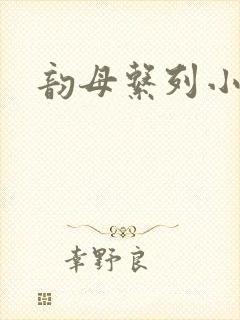 韵母系列小说