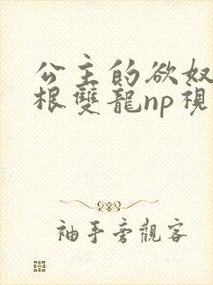 公主的欲奴h四根双龙np视频