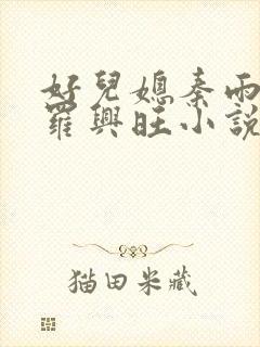 好儿媳秦雨罗明罗兴旺小说封面