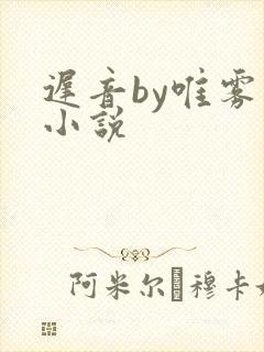 迟音by唯雾的小说