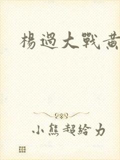 杨过大战黄蓉