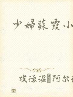 少妇苏霞小说