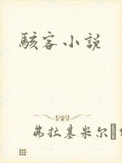 骇客小说封面