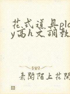 花式道具play高h文调教封面