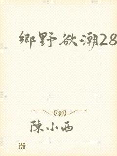 乡野欲潮28章