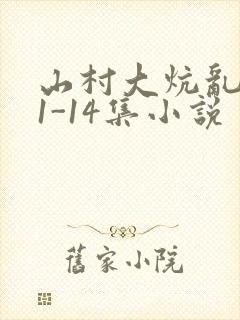 山村大炕乱肉续1-14集小说