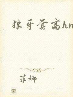 狼牙套高hnp