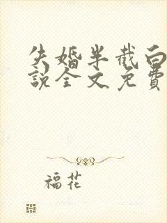 失婚半截白菜小说全文免费阅读封面