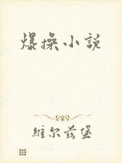 爆操小说