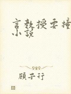 言教授要撞坏了小说
