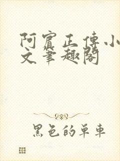 阿宾正传小说全文笔趣阁