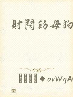 财阀的母狗们