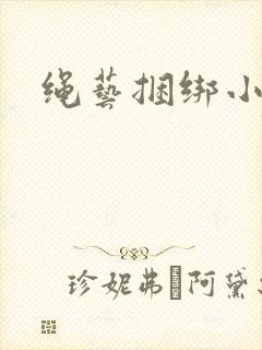 绳艺捆绑小说封面