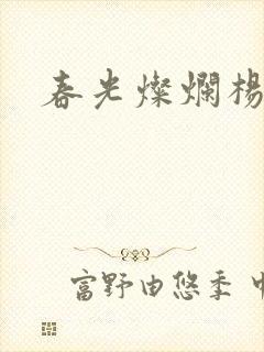 春光灿烂杨家将