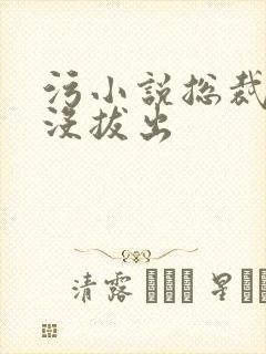 污小说总裁整夜没拔出