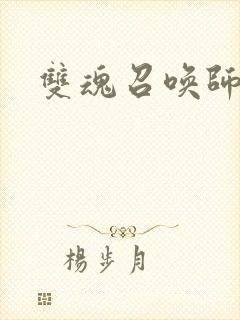 双魂召唤师