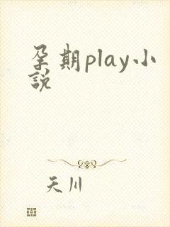孕期play小说