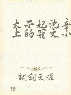 太子妃沈音和皇上的宠文小说封面