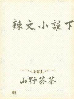 辣文小说下载