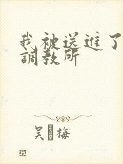 我被送进了私奴调教所