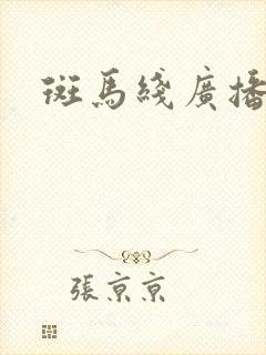 斑马线广播剧