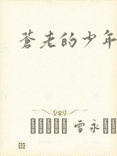 苍老的少年封面