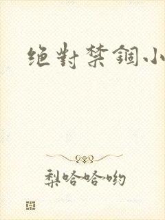 绝对禁锢小说封面