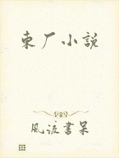 东厂小说