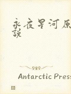 永夜星河原著小说