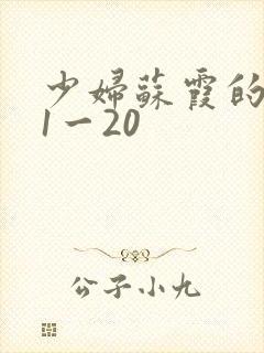 少妇苏霞的沉沦1一20