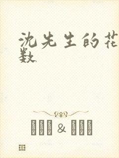沈先生的花式调数封面