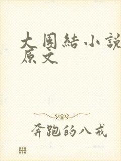 大团结小说阅读原文