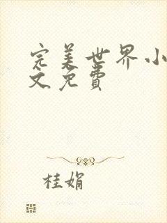 完美世界小说全文免费封面