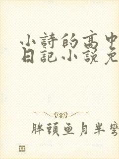 小诗的高中成长日记小说免费阅读