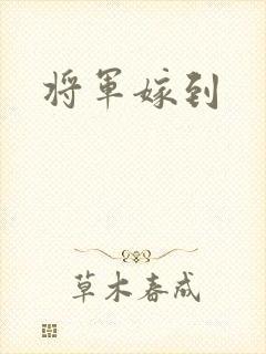 将军嫁到