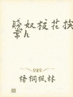 贱奴校花挨脔日常h