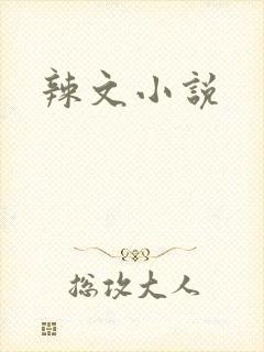 辣文小说