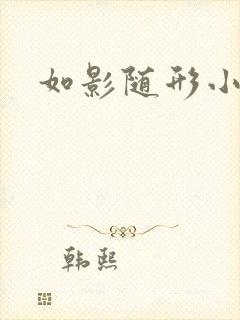 如影随形小说