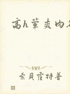 高h荤爽肉欲文