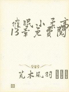 催眠小柔高达第13章免费阅读封面