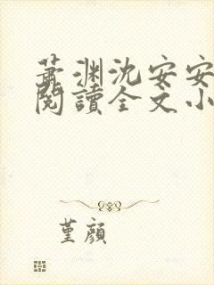 萧渊沈安安免费阅读全文小说封面