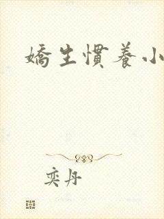 娇生惯养小说封面