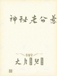 神秘老公惹不起封面