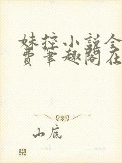 妹控小说全文免费笔趣阁在线阅读